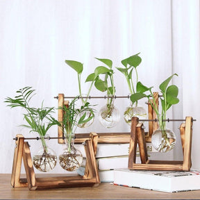 home & garden : Fauna Planten Stekpotjes - Kweek Thuis Je Eigen Plantjes in van Pantino