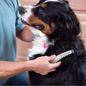 pets : GroomRight - Elektrische Huisdierkam Honden Katten in van Pantino