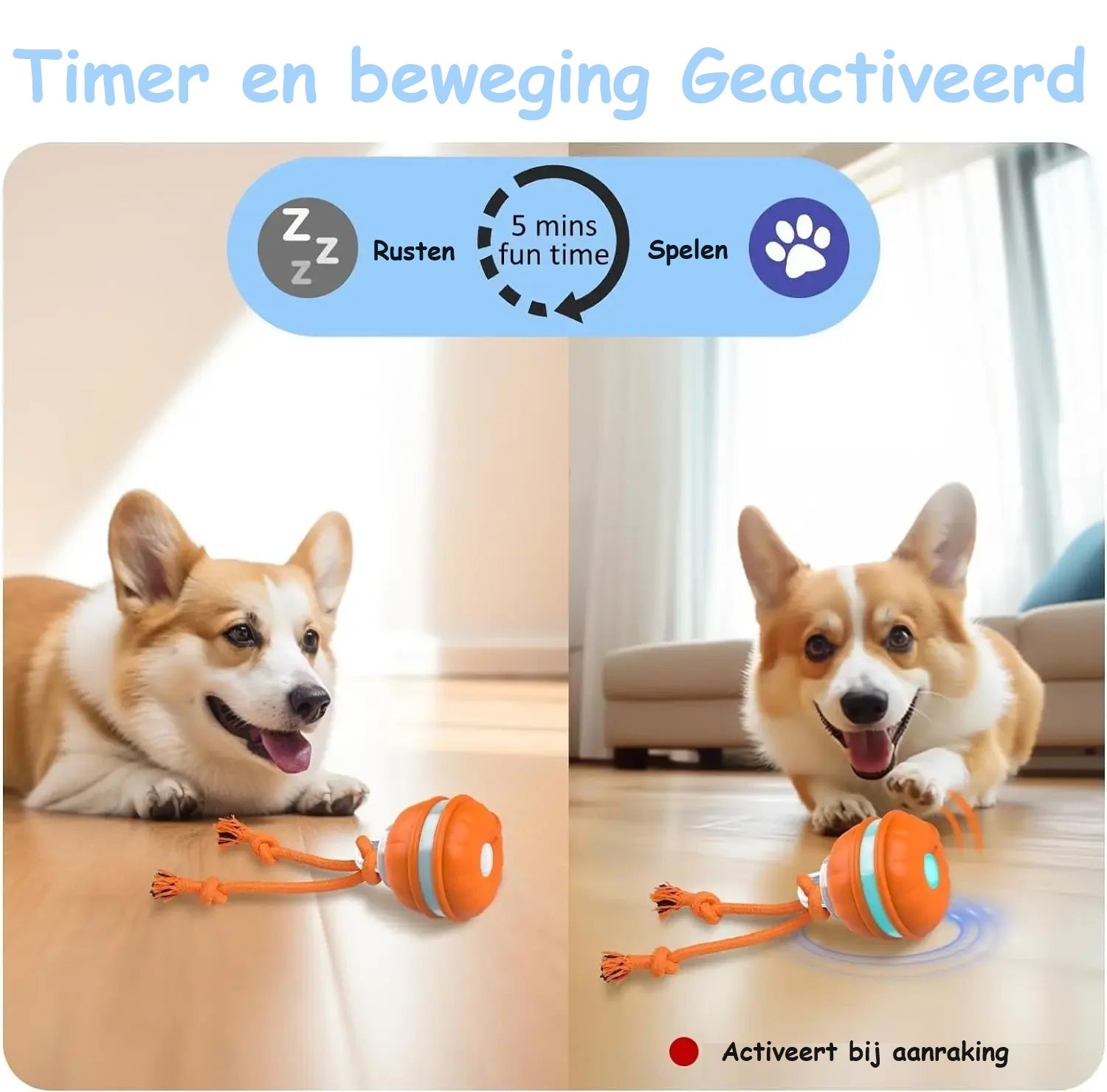 pets : PupPlay - Sterk en Langdurig Speelplezier in van Pantino