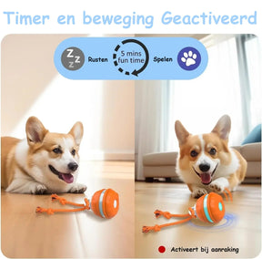 pets : PupPlay - Sterk en Langdurig Speelplezier in van Pantino