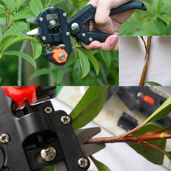 home & garden : Tuin Enting Tool - Planten Enten Professioneel Precisie - Staal in van Pantino