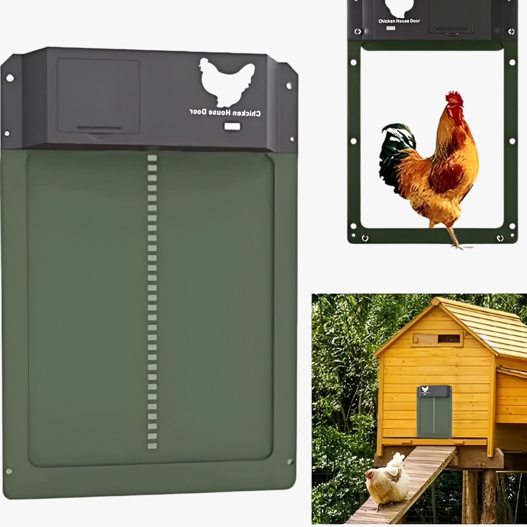 pets : Automatisch Kippenluik - Timer & Lichtsensor - Groen - Veilig & Gebruiksvriendelijk in van Pantino