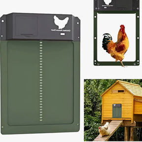 pets : Automatisch Kippenluik - Timer & Lichtsensor - Groen - Veilig & Gebruiksvriendelijk in van Pantino
