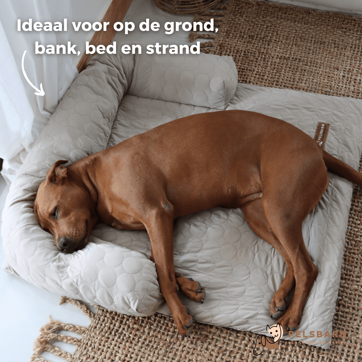 Huisdieren : Verkoelend Honden Bed - Lichtblauw in van Pantino