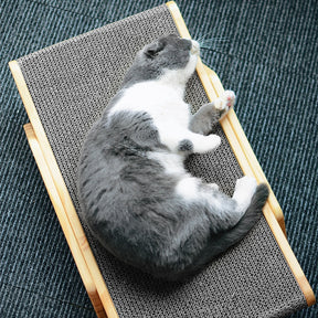 pets : Sisal Kraboppervlak Speelplezier - Sisal in van Pantino
