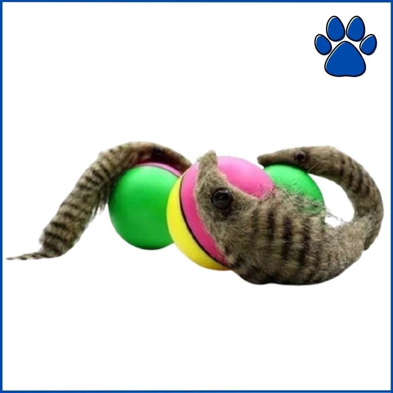 pets : PlayBall - Elektronisch Interactief Speelgoed voor Dieren in van Pantino
