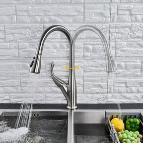 home & garden : Keukenmengkraan Zwart Geborsteld - Warm en Koud Water - RVS in van Pantino