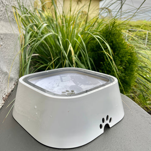pets : AquaDog - Geen Natte Vloer Meer - Wit in van Pantino