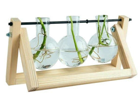 home & garden : Fauna Planten Stekpotjes - Kweek Thuis Je Eigen Plantjes in Blank 3 van Pantino
