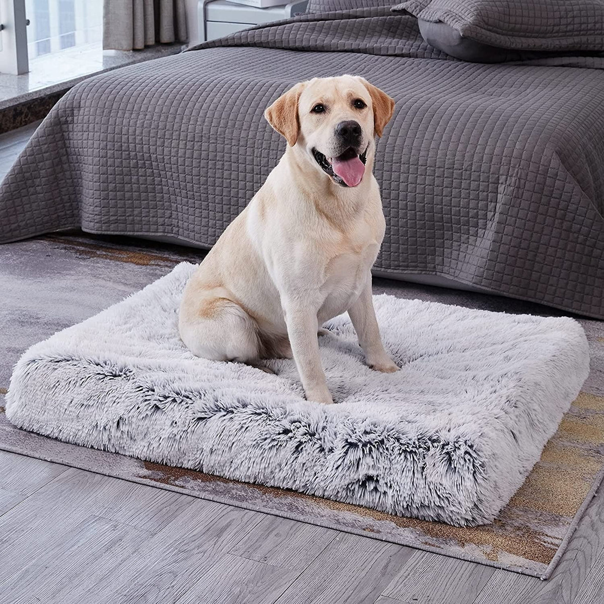 pets : Orthopedisch Pluche Hondenbed in Grijs in Grijs van Pantino