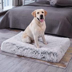 pets : Orthopedisch Pluche Hondenbed in Grijs in Grijs van Pantino