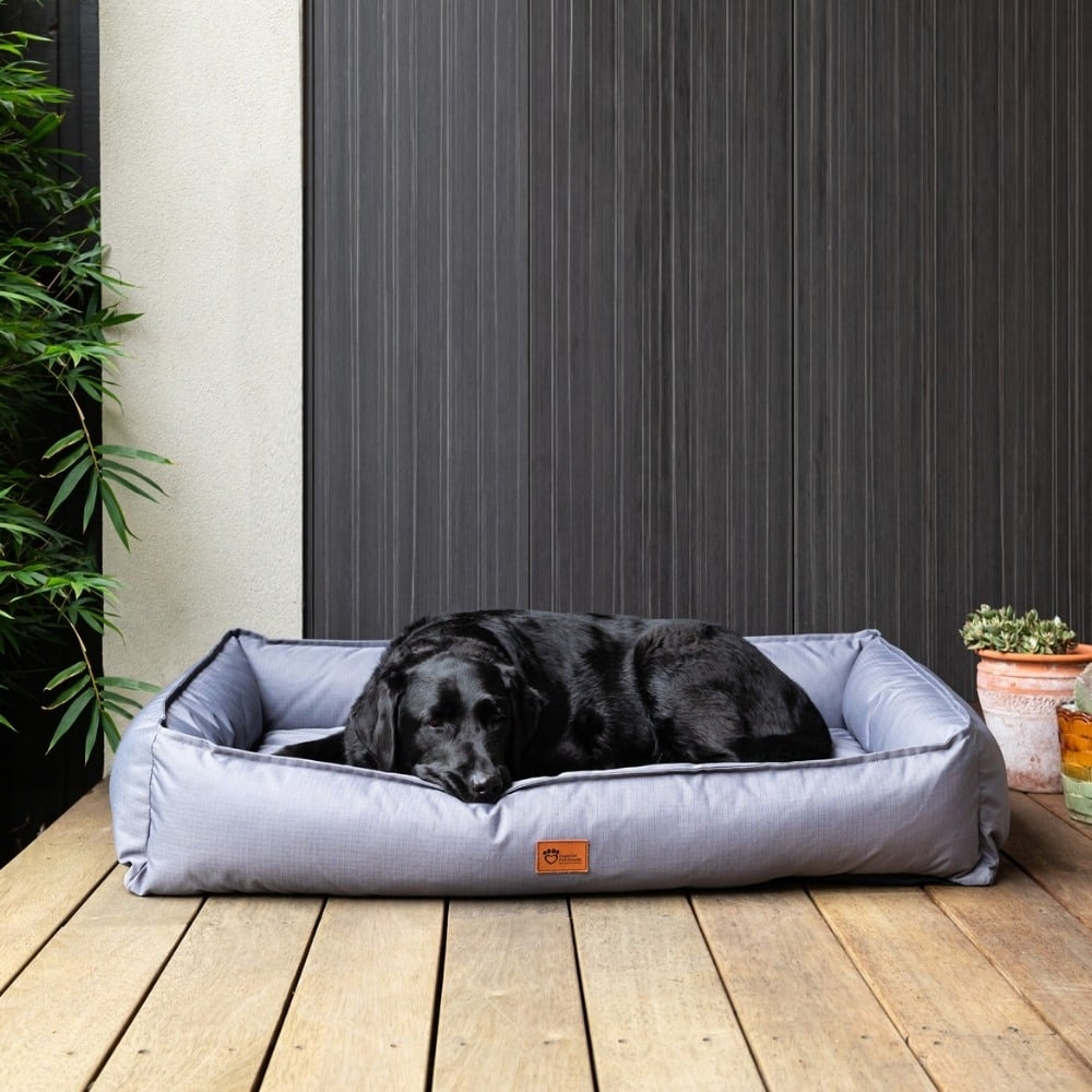 pets : Orthopedisch Premium Hondenbed in Subtiel Grijs in van Pantino