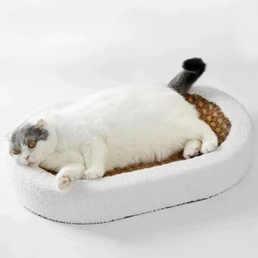 pets : ScratchHaven - Krabbed voor Katten in van Pantino