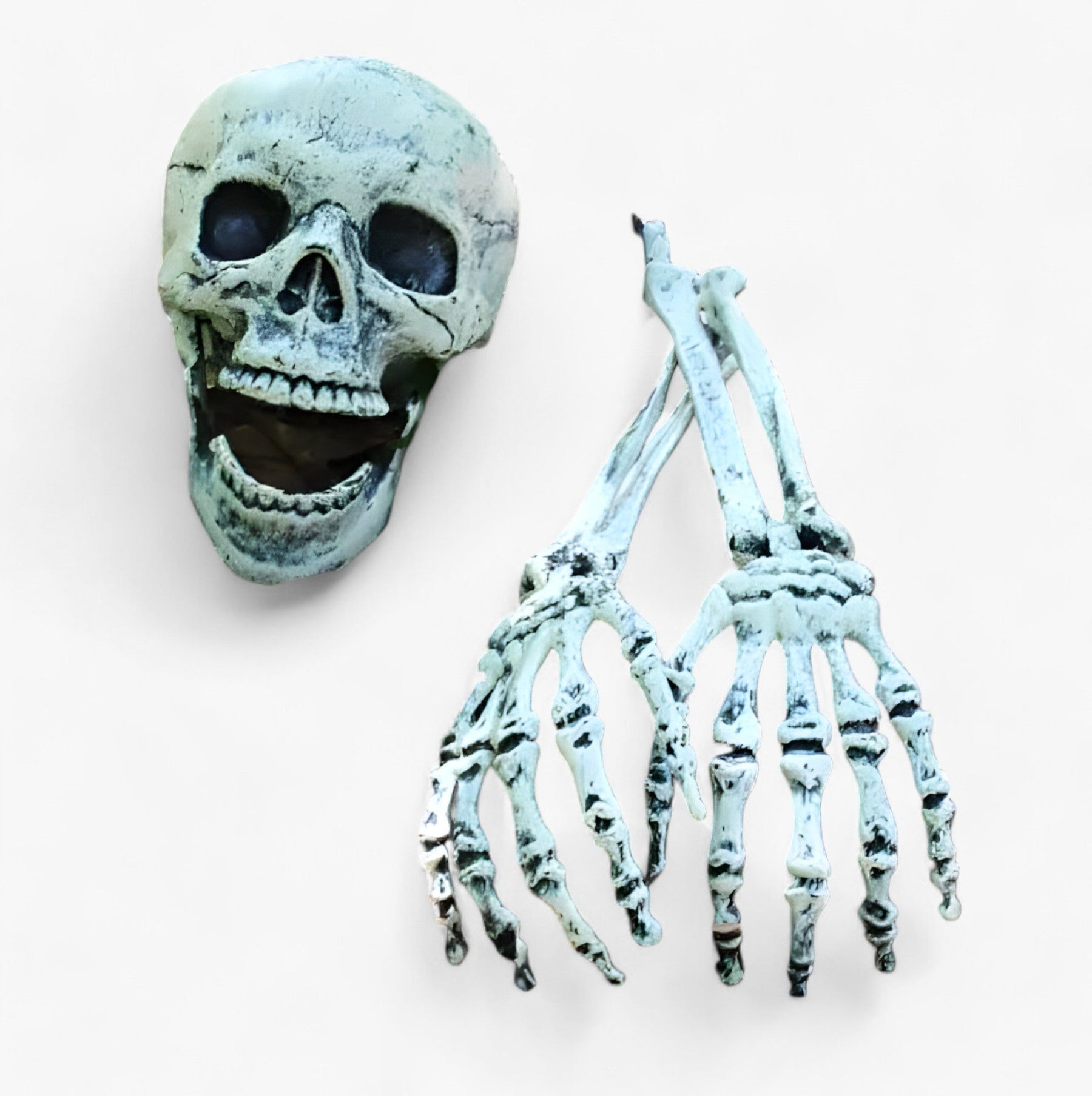 home & garden : Angstaanjagende Halloween Decoratie - Skelet, Botten en Mensenhoofd voor een Verschrikelijke Feest in van Pantino