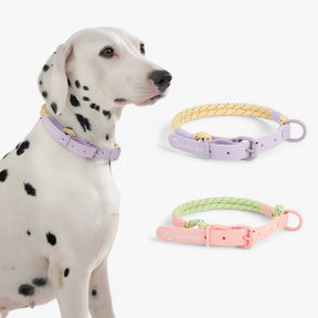pets : Pawfect Pals - Hondenhalsband-set - Opvallend Ontwerp met Duurzaam Pvc in van Pantino