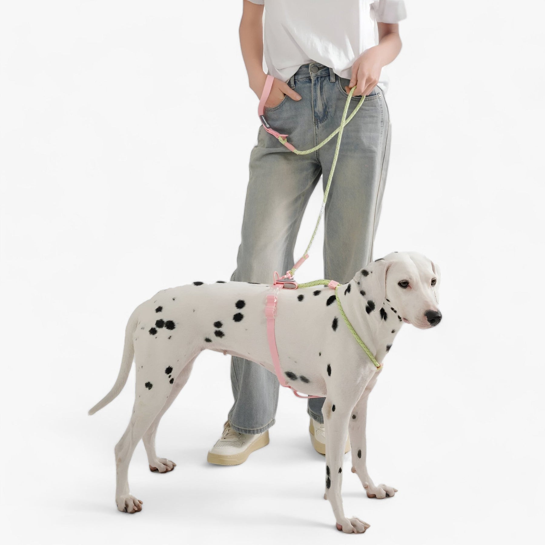 pets : Pawfect Pals - Hondenhalsband-set - Opvallend Ontwerp met Duurzaam Pvc in van Pantino
