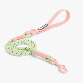 pets : Pawfect Pals - Hondenhalsband-set - Opvallend Ontwerp met Duurzaam Pvc in Roze Hondelijn van Pantino