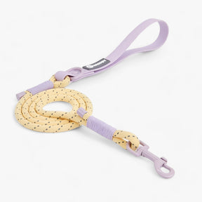 pets : Pawfect Pals - Hondenhalsband-set - Opvallend Ontwerp met Duurzaam Pvc in Lila Hondelijn van Pantino