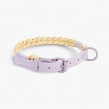 pets : Pawfect Pals - Hondenhalsband-set - Opvallend Ontwerp met Duurzaam Pvc in Lila Hondehalsband van Pantino
