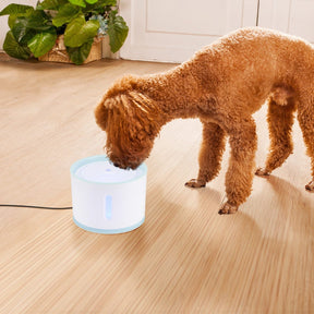 pets : Automatische Drinkfontein voor Huisdieren - Kattendrinkbak Pro - Zilver in van Pantino