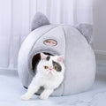 Gezellige Haven Honden Katten
