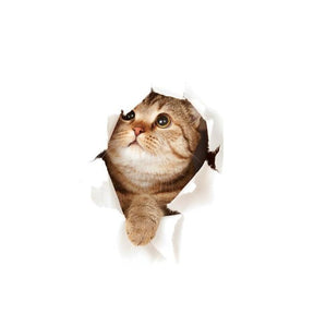 home & garden : 3D Kat Sticker Muursticker Honden Katten in Katze6 van Pantino