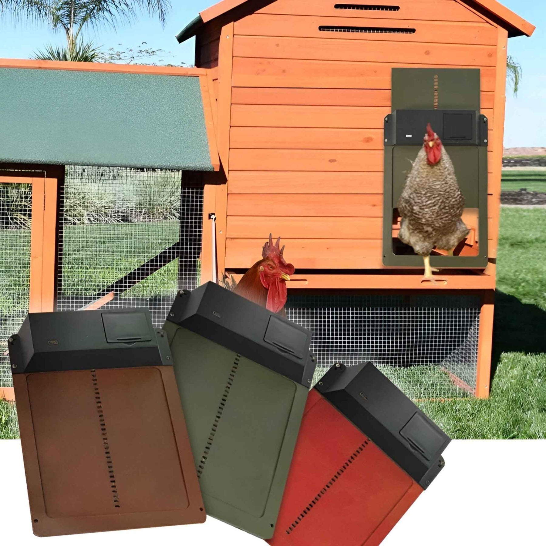 Chicken Coop Door : Automatische Solar Deur PRO+ voor Kippenhok - Lichtsensoren & Slimme Timer in van Pantino