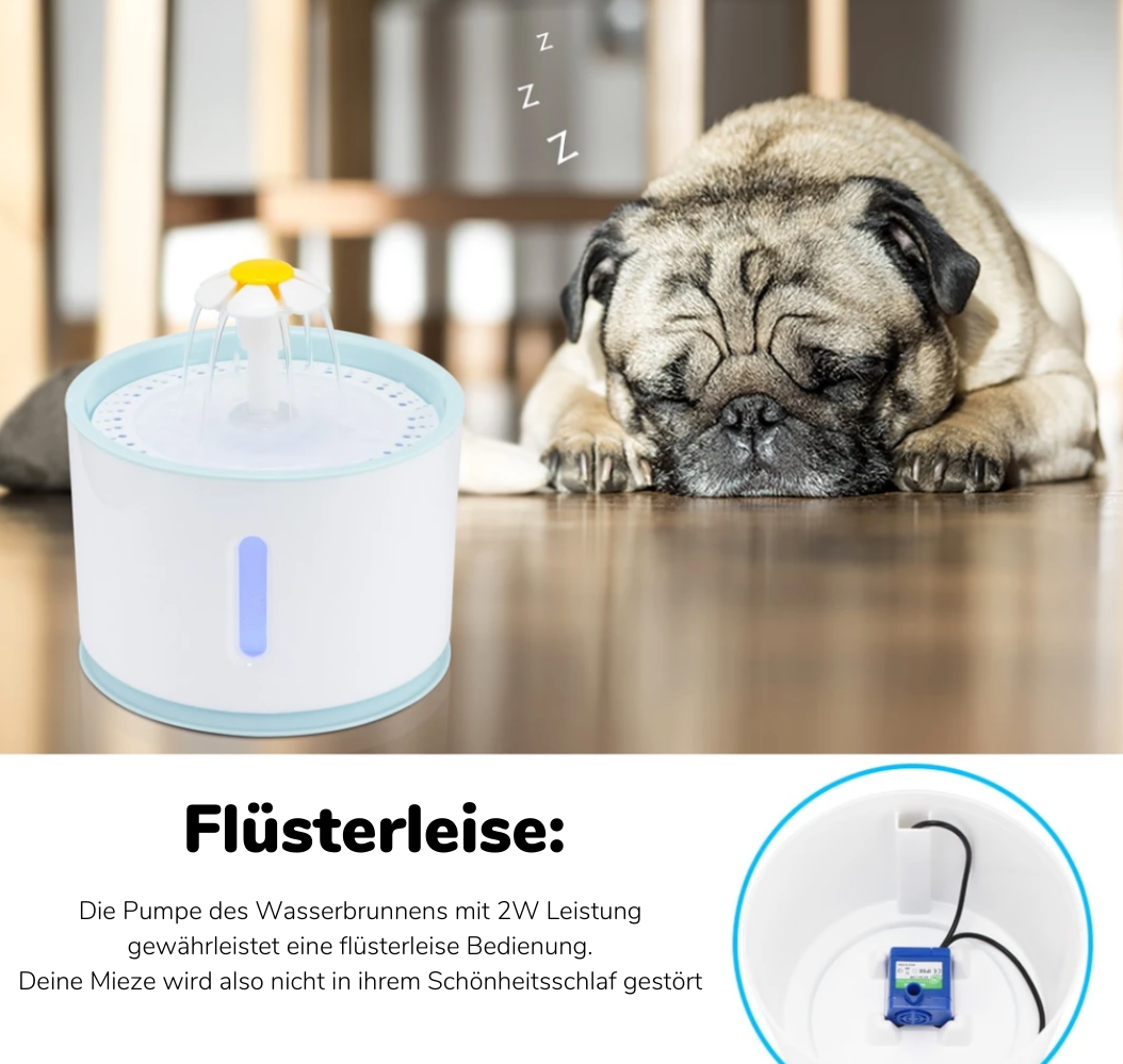 pets : Automatische Drinkfontein voor Huisdieren - Kattendrinkbak Pro - Zilver in van Pantino