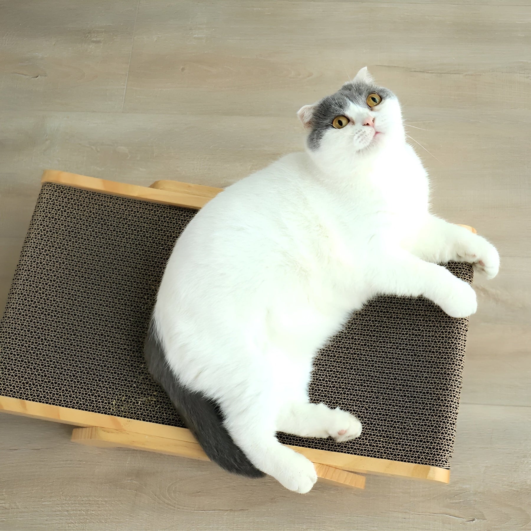 pets : Houten Kattenkrabplank - Multifunctionele Verwijderbare Design - Hout in van Pantino