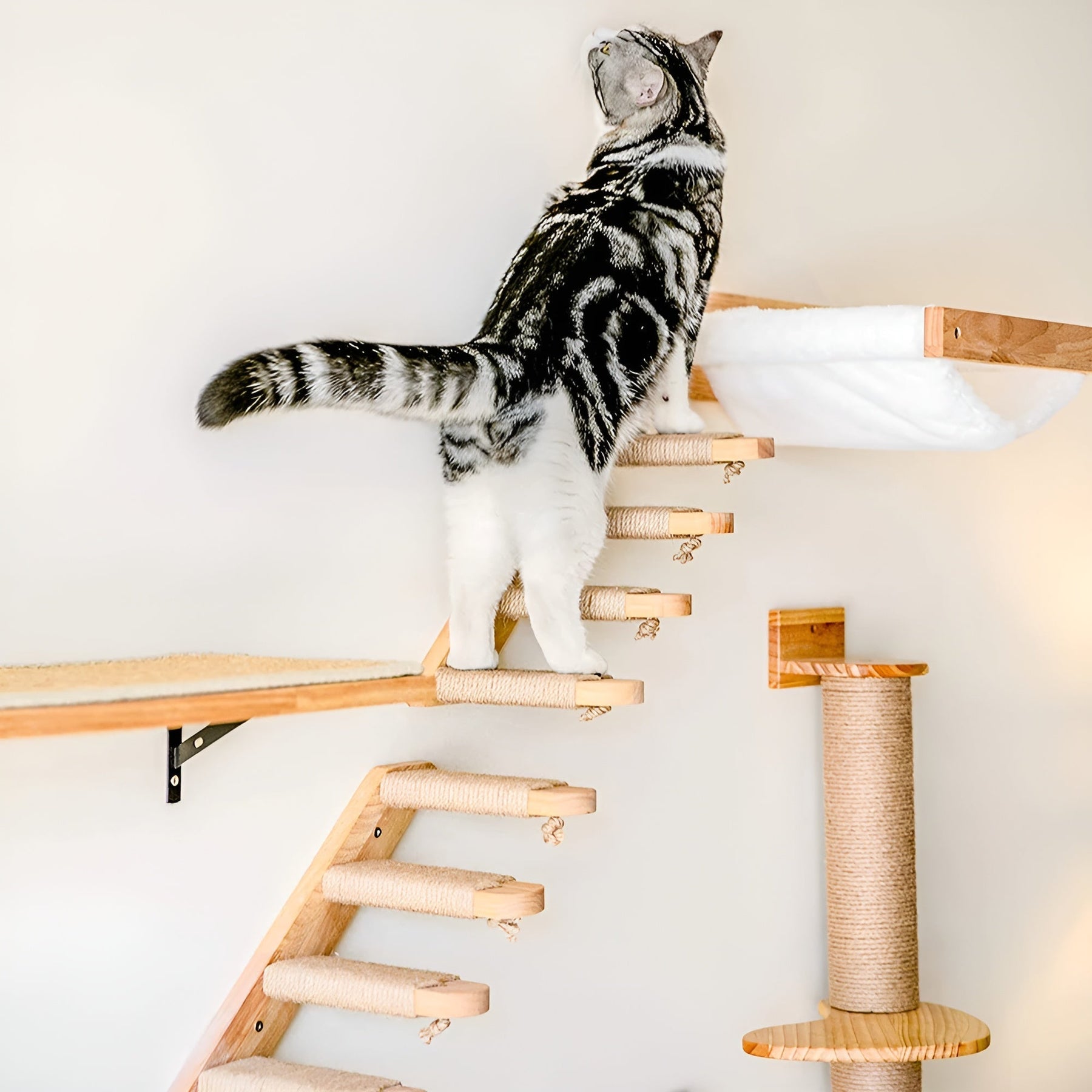 pets : Kattenklimplank Wandmontage - Krabpaal Instinct Training - Hout in van Pantino