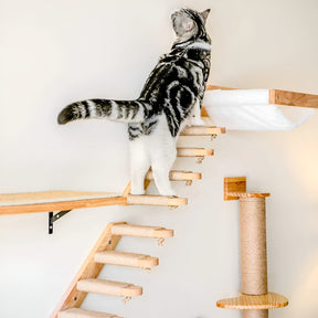 pets : Kattenklimplank Wandmontage - Krabpaal Instinct Training - Hout in van Pantino