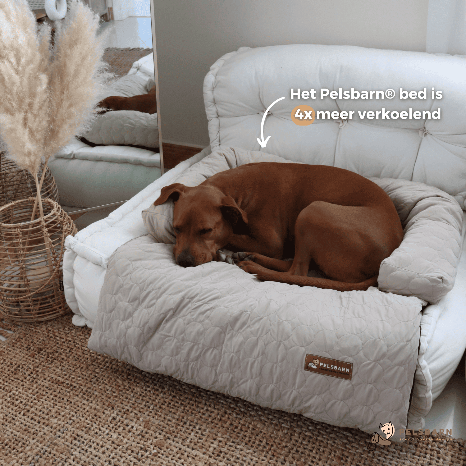 Huisdieren : Verkoelend Honden Bed - Lichtblauw in van Pantino