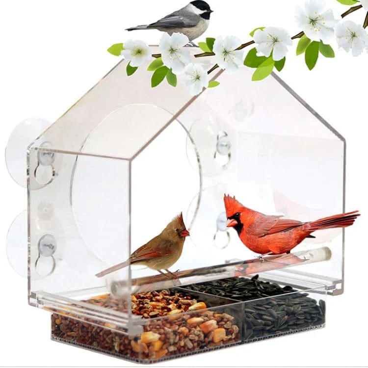 pets : Window Bird Feeder - Gezellige Lentedagen in van Pantino