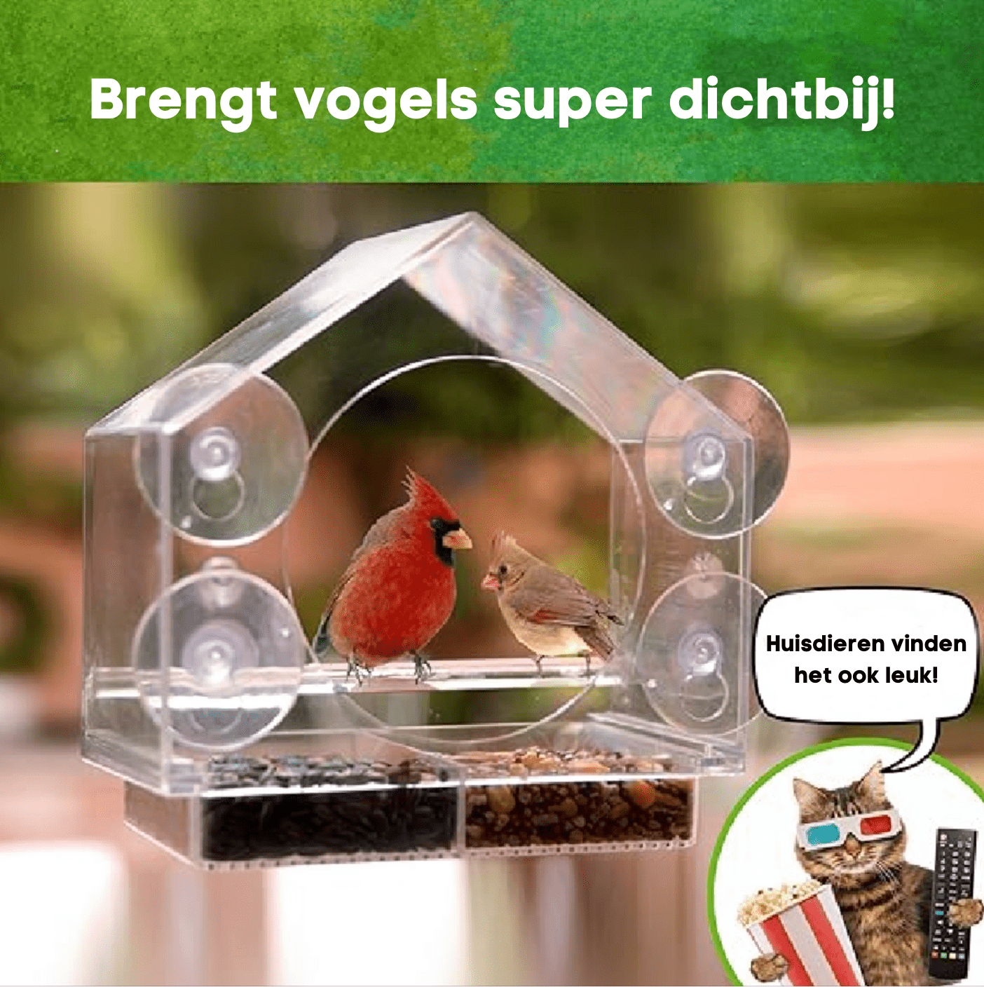 pets : Window Bird Feeder - Gezellige Lentedagen in van Pantino