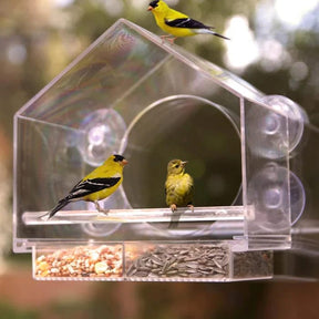 pets : Window Bird Feeder - Gezellige Lentedagen in van Pantino