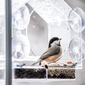 pets : Window Bird Feeder - Gezellige Lentedagen in van Pantino