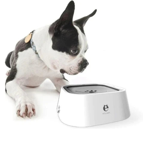 pets : AquaDog - Geen Natte Vloer Meer - Wit in Wit van Pantino