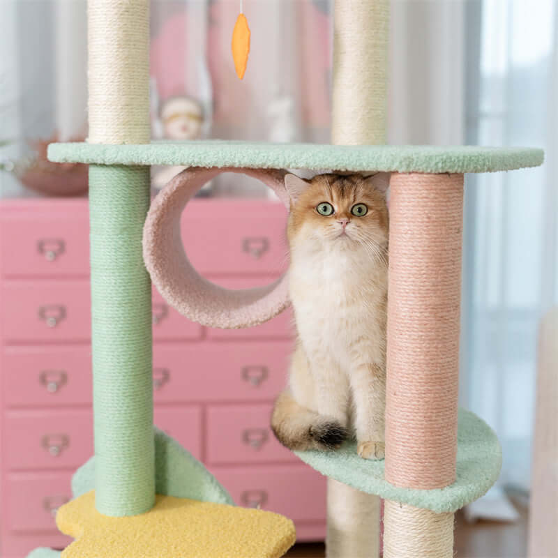 pets : Wonderland Kattenboom-XL in van Pantino