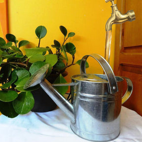 home & garden : Wondertap Magische Kraan - Unieke Huis & Tuindecoratie in van Pantino