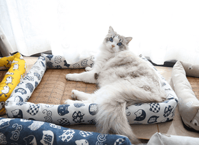 pets : Zomer Huisdier Koelende IJsmat - Multikleurig Vierkant Koel - Beige in van Pantino