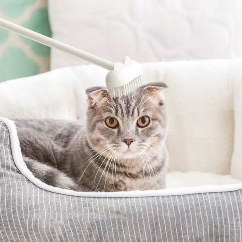 pets : Cat Massage Brush - Wit in Nog 2 op voorraad Wit van Pantino