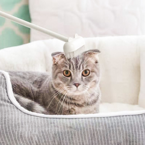 pets : Cat Massage Brush - Wit in Nog 2 op voorraad Wit van Pantino