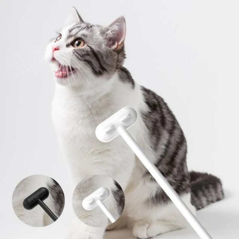 pets : Cat Massage Brush - Wit in van Pantino
