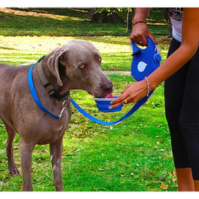 pets : Nylon 5-in-1 Hondenriem - Blauw in van Pantino