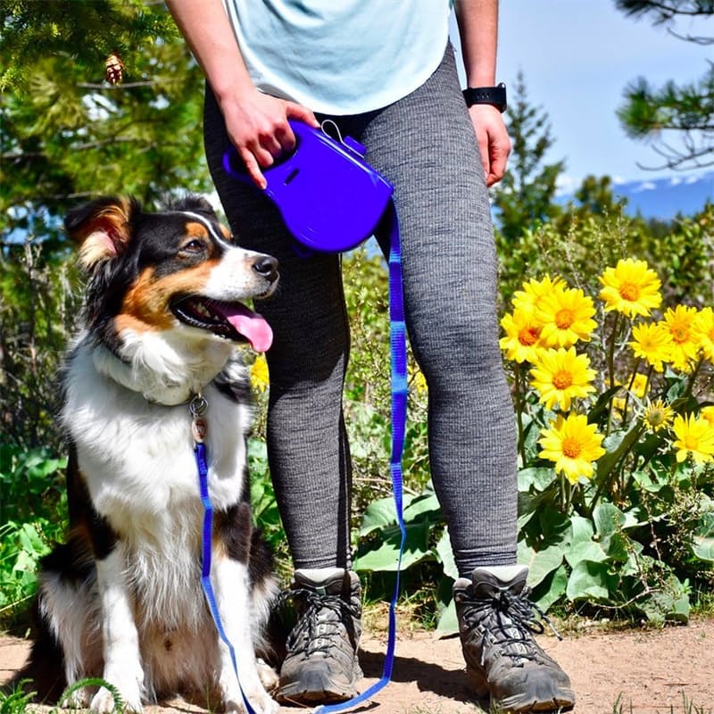 pets : Nylon 5-in-1 Hondenriem - Blauw in van Pantino