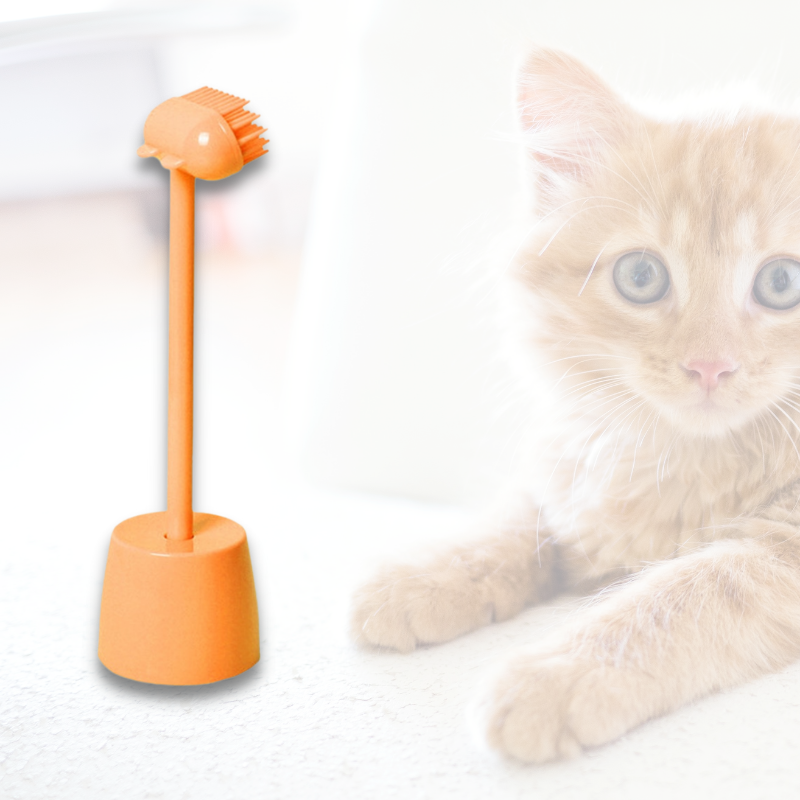 pets : Cat Massage Brush - Wit in Nog 2 op voorraad Oranje van Pantino