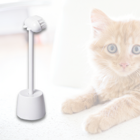 pets : Cat Massage Brush - Wit in van Pantino