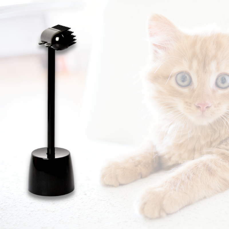 pets : Cat Massage Brush - Wit in Nog 2 op voorraad Zwart van Pantino