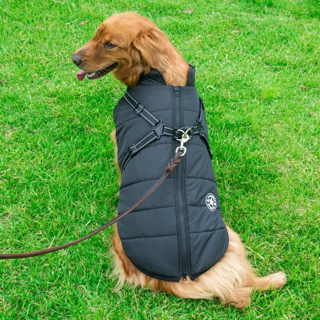 pets : PupSkiPro - Waterdicht Jacket Harnas - Blauw in van Pantino