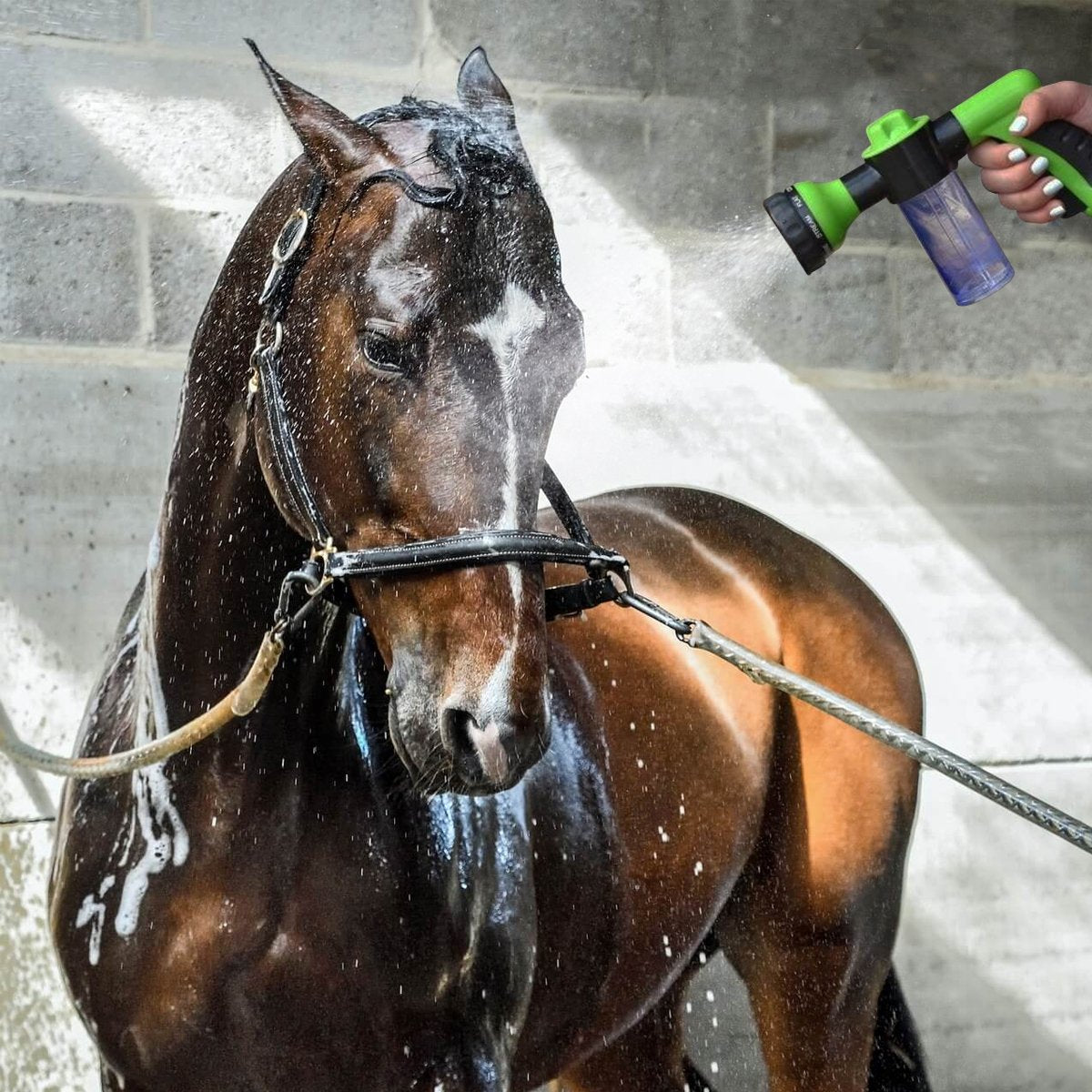 pets : Nozoo Pony Jet - Was Je Paard als Nooit Tevoren - Groen in van Pantino